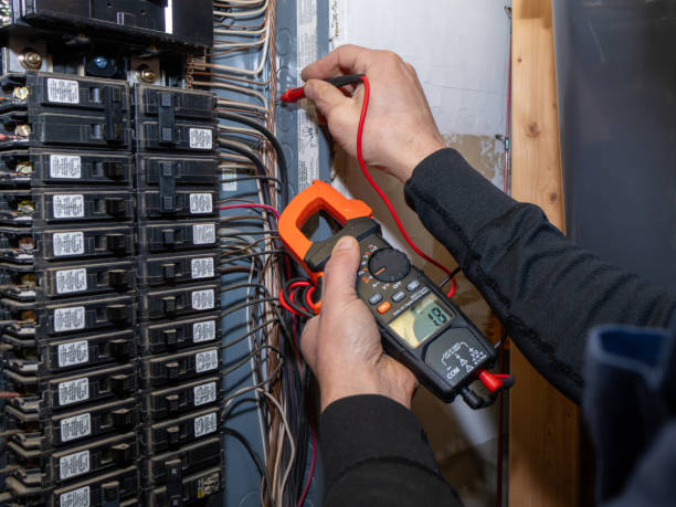 Best Electrician for Home Renovation  in Hickory Hls, IL